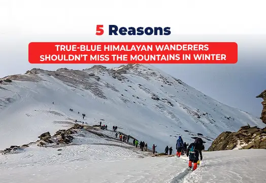 5 Reasons True-blue Himalayan Wanderers Shouldn’t Miss the Mountains in Winter